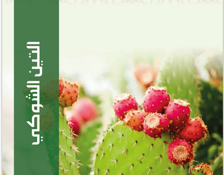 Imtcproducts